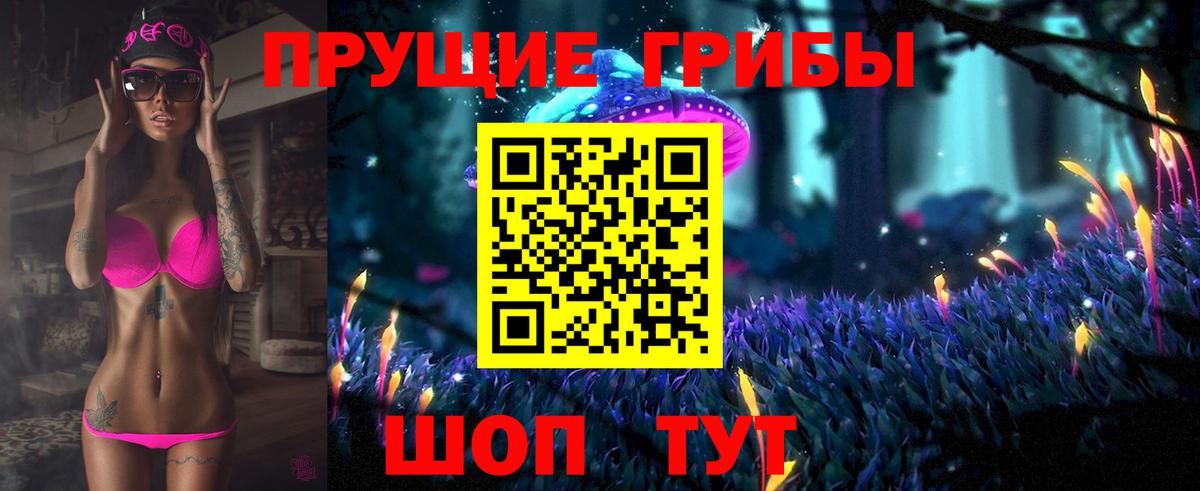 Псилоцибиновые грибы Psilocybine cubensis Верхняя Салда