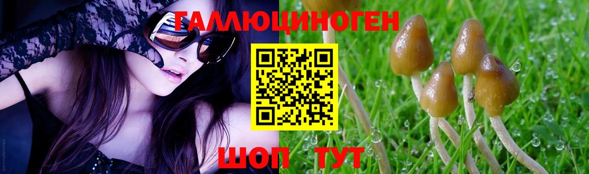 Псилоцибиновые грибы прущие грибы  Псилоцибиновые грибы GOLDEN TEACHER  Вход с VPN  Верхняя Салда 